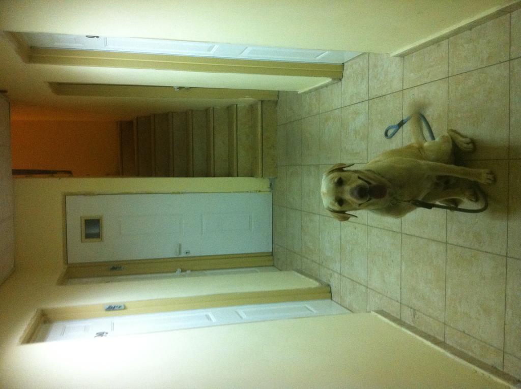 Faulty Towers Hotel Eilat Dış mekan fotoğraf